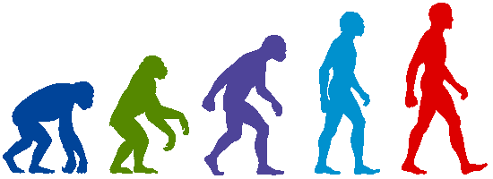 [ human evolution ]
