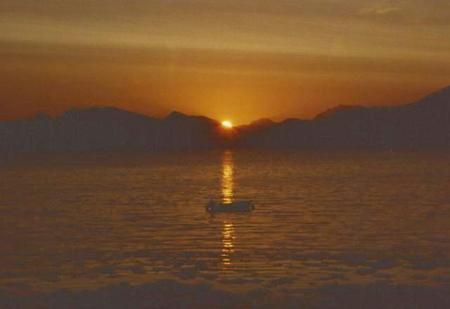 [ midnight sun ]